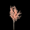 Color Bush