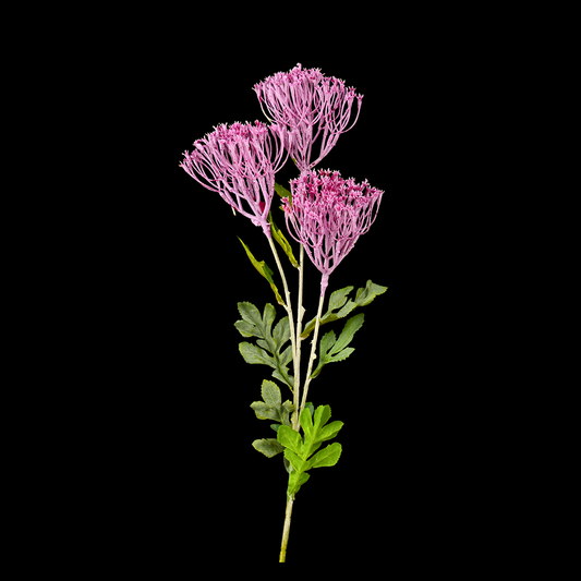 Wild Flower