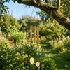 Wind Chimes