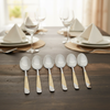 Teaspoon 06 PCS 20SV