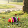 Pet chew Toy #3