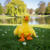 Soft Goose #1