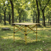 Folding Table 50*50