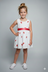 Floral Embroidered Bow Detail  Dress for kids