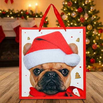Christmas Bag